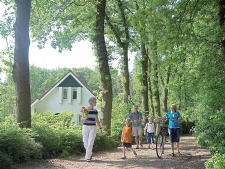 Path along a holiday home at the Landal Landgoed De Elsgraven holiday park