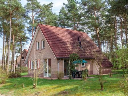 Detached holiday homes in the woods at the Landal Landgoed 't Loo holiday park