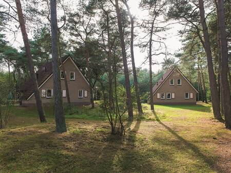 Detached holiday homes at Landal Landgoed 't Loo holiday park