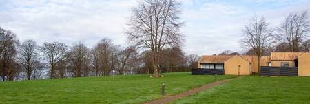 Holiday homes on a large lawn at the Landal Middelfart holiday park