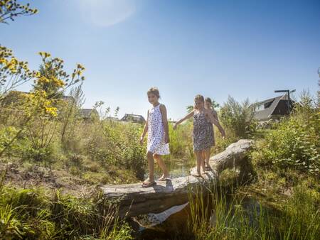 Children walk on the nature experience path at the Landal Orveltermarke holiday park