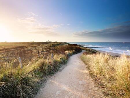 The path between the dunes to the beach - Landal Résidence Westduin