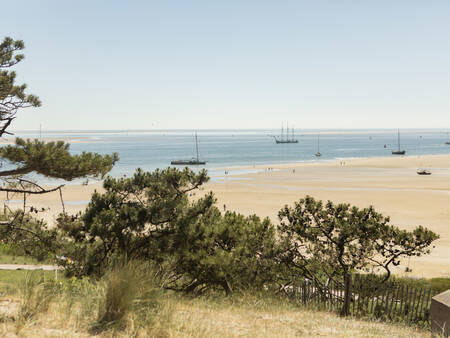 Enjoy the duiten and the beach of Terschelling at the Landal Schuttersbos holiday park
