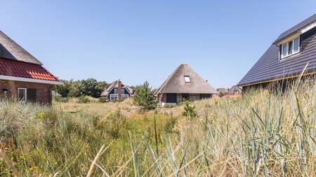 Detached holiday homes at the Landal Sluftervallei . holiday park