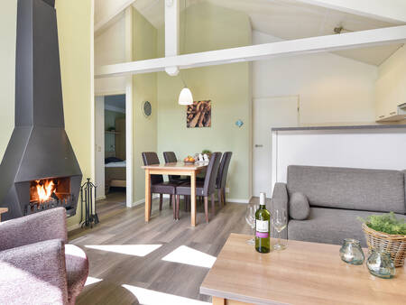 Living room with fireplace of a holiday home at Landal Stroombroek holiday park