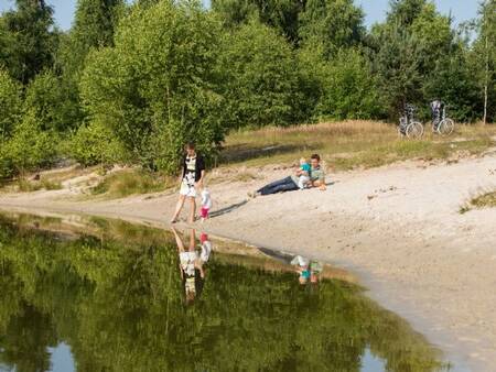 Dog swimming area for dogs at Landal Twenhaarsveld holiday park