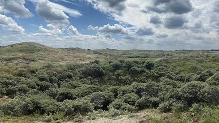 Nature reserve the Schoorlse Duinen near Landal Holiday Park Duynvallei