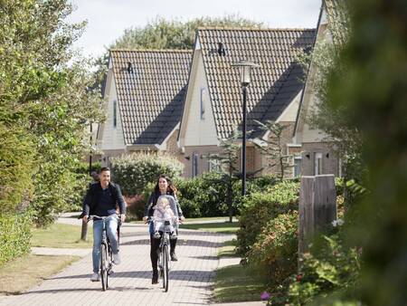 Several villas at holiday park Landal Villapark Vogelmient