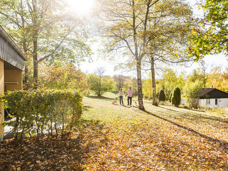 Holiday homes at the Landal Warsberg holiday park