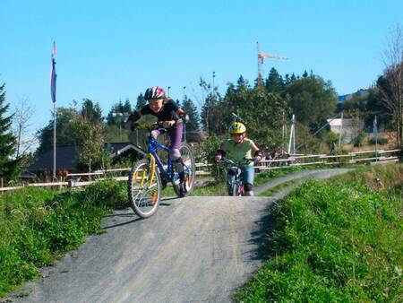 The area surrounding the Landal Winterberg holiday park is perfect for mountain biking