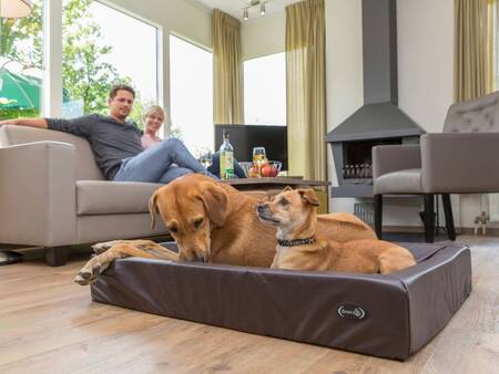 Living room with family and 2 dogs in a holiday home at the Landal Wirfttal holiday park