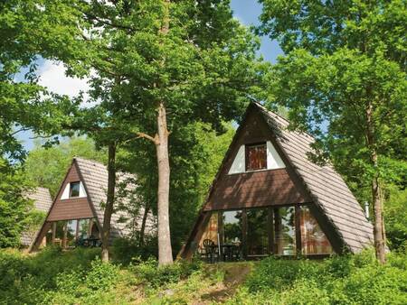 Holiday homes in the woods at the Landal Wirfttal holiday park