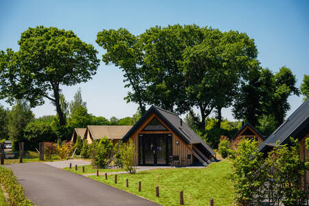 Detached holiday homes at the Landgoed De IJsvogel holiday park