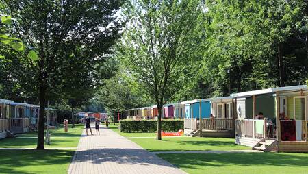 Detached chalets on a lane at holiday park Molecaten Bosbad Hoeven