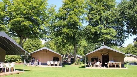 Safari tents on a field at holiday park Molecaten Bosbad Hoeven