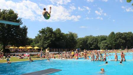 Boy jumps off the diving board in the outdoor pool of holiday park Molecaten Bosbad Hoeven