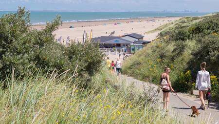 Holiday park Molecaten Hoogduin is within walking distance of the Zeeland coast