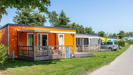 Chalets of the "Kamille" type for 4 persons at holiday park Molecaten Hoogduin
