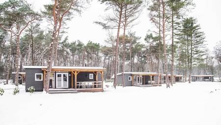 Winter photo of chalets in the snow at holiday park Molecaten Park De Koerberg