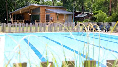 The outdoor pool of holiday park Molecaten Park De Koerberg