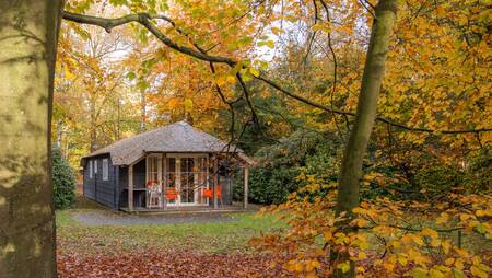 Holiday home of the "Sprengen" type with covered terrace at holiday park Molecaten Park De Leemkule