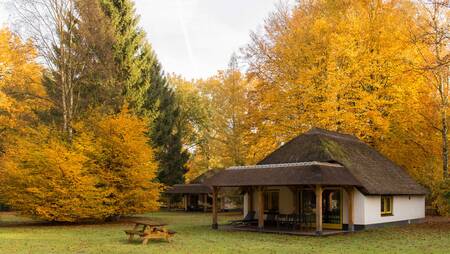 Holiday home type "Buitengoed" with thatched roof at holiday park Molecaten Park De Leemkule