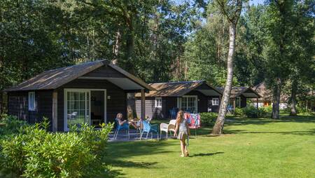 Holiday homes of the "Hanze" type at holiday park Molecaten Park De Leemkule