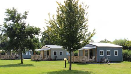 Chalets with a covered veranda of the "Karekiet" type at holiday park Molecaten Park Flevostrand