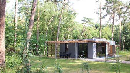 Holiday home of the "Larch" type at holiday park Molecaten Park Landgoed Ginkelduin