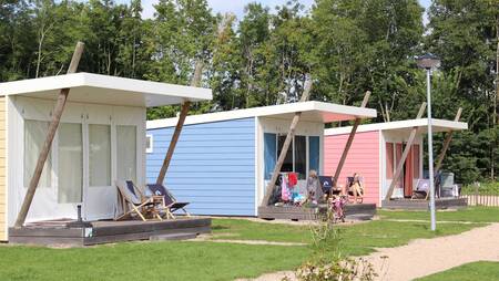 Camp cabins on a lane at holiday park Molecaten Park Rondeweibos