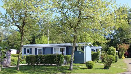 Chalets of the "Zilvermeeuw" type in a lane at holiday park Molecaten Park Wijde Blick