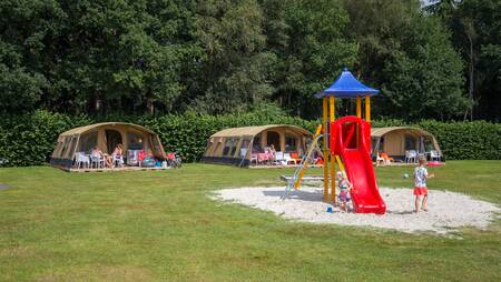 Molecaten tents on a field with a playground at holiday park Molecaten Park 't Hout