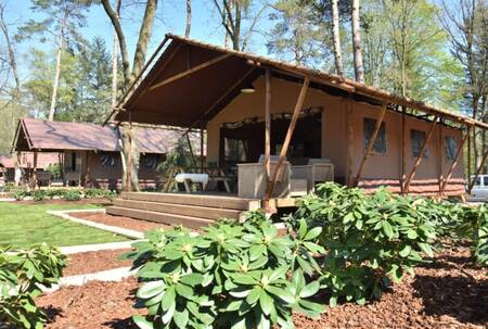 Glamping tents in the forest at the Ommerland holiday park