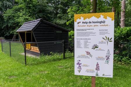 Beehives near holiday park Park Berkenrhode