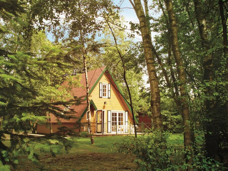 Detached holiday home between the trees at the Park Molenheide holiday park