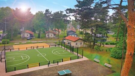 The football and basketball field of holiday park Park Molenheide