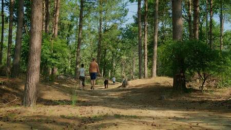Go for a walk in the adjacent Wild and Wandelpark next to the Park Molenheide holiday park