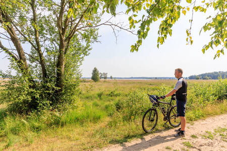 Cyclist in nature reserve Dwingelderveld near holiday park RCN De Noordster