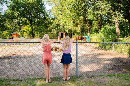 Two girls at the zoo at holiday park RCN De Noordster