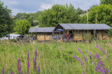 Safari tents on a field at holiday park RCN Le Moulin de la Pique