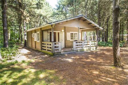 Holiday home type "Forest lodge" in the forest at holiday park RCN de Flaasbloem