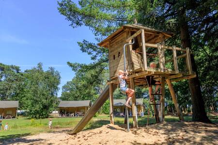 Children play in a tree house at a camping pitch at holiday park RCN de Flaasbloem