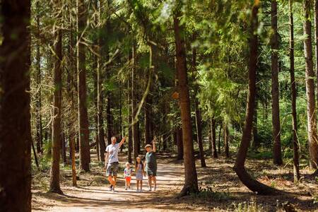 Family walks through the woods of the Veluwe at holiday park RCN de Jagerstee