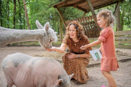 Mother and daughter in the petting zoo at holiday park RCN de Jagerstee