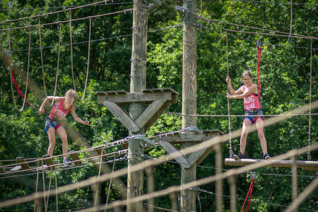 Children on the climbing pole course at holiday park RCN de Roggeberg
