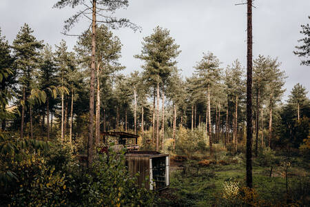 Cabin between the trees in the forest at the Warredal holiday park