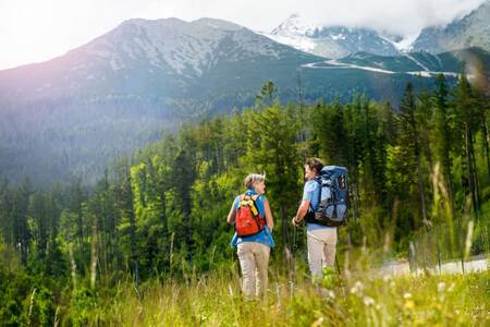 Roompot Bergresort Winterberg is located in a beautiful mountainous and wooded area