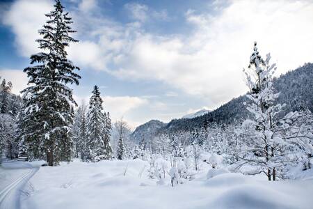 Beautiful winter photo with snow in the vicinity of Roompot Bergresort Winterberg