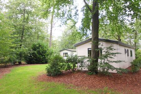 Chalets among the trees at the Roompot Bospark de Schaapskooi holiday park