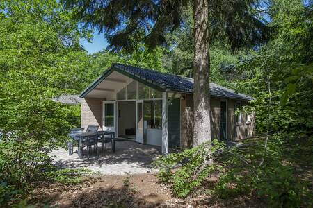 A holiday home among the trees at the Roompot Bospark de Schaapskooi holiday park